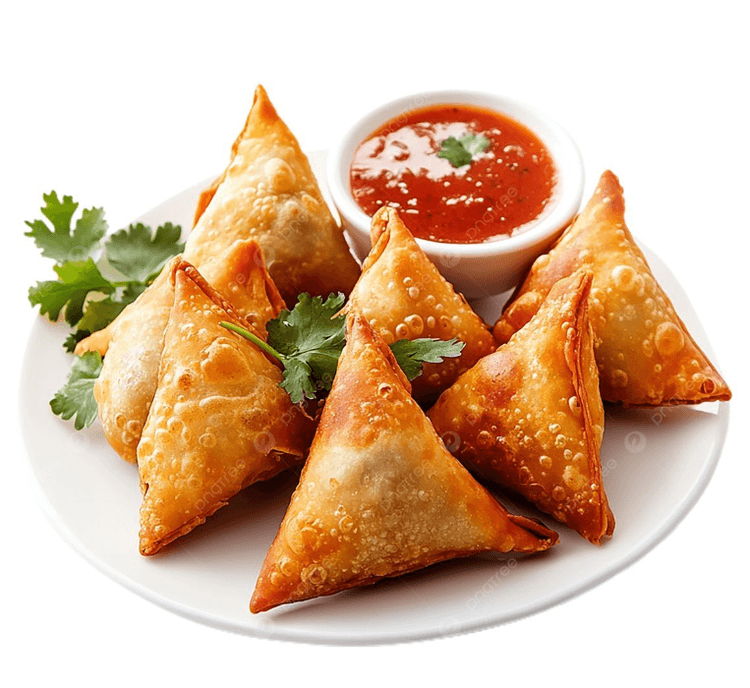 Chicken Tikka Samosa