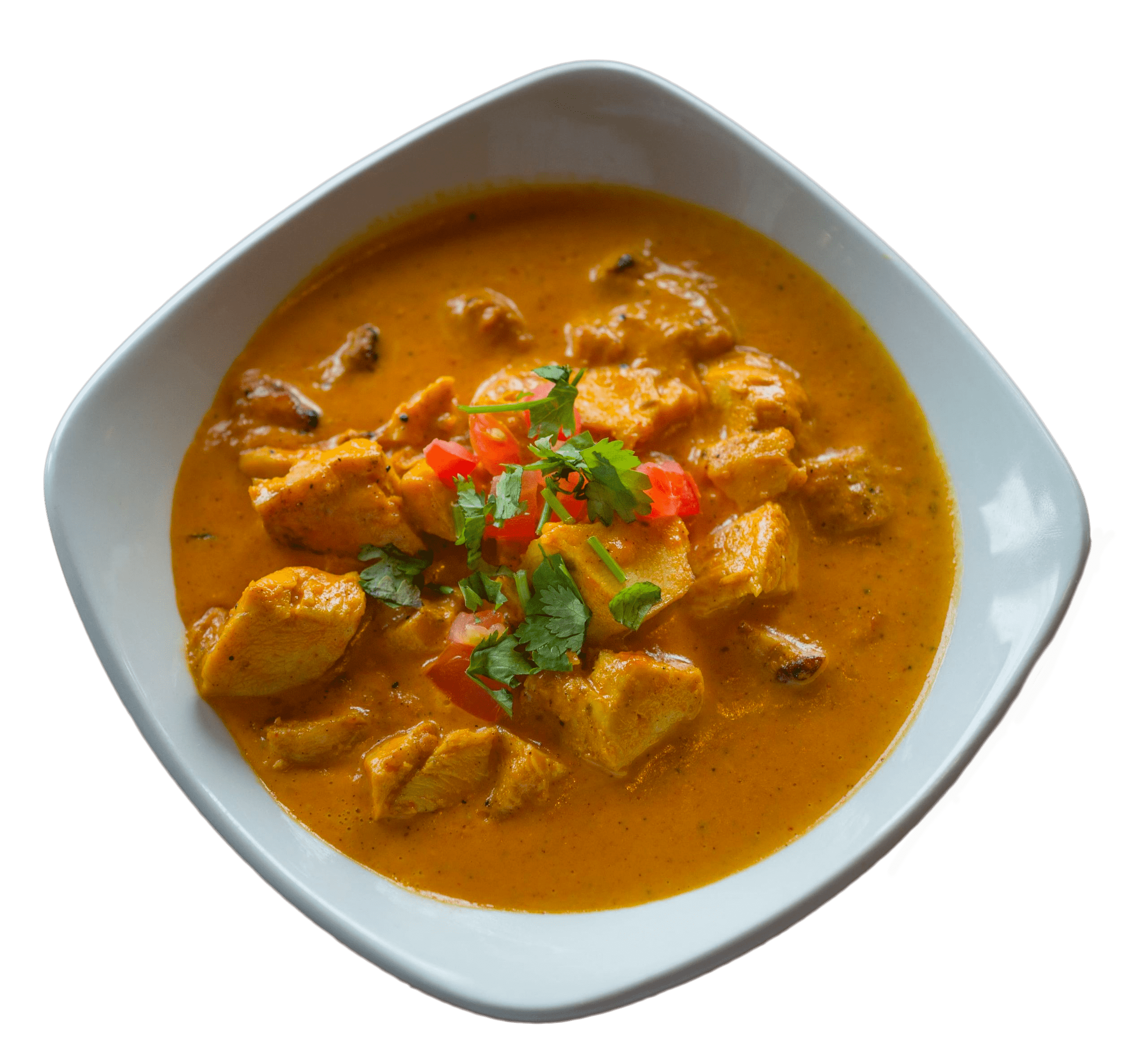 Chicken tikka and Indian fusion dishes